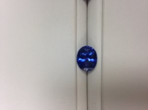 img_9256.jpg