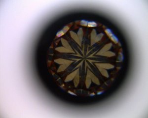 _34473.jpg _34473.jpg