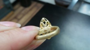 20150919_074810.jpg