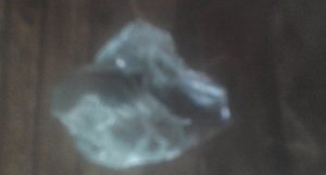 20150920_113820.jpg
