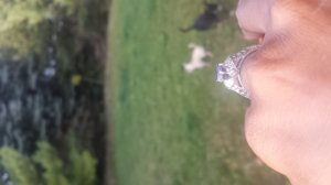 20150924_181334.jpg