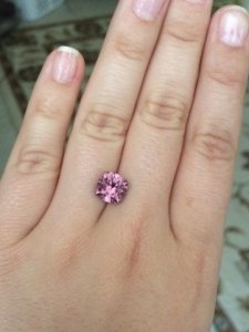 spinel_indoors.jpg spinel_indoors.jpg