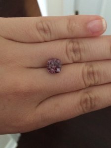 spinel_indoors_2.jpg spinel_indoors_2.jpg