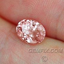 sapphire_pink_499_a.jpg