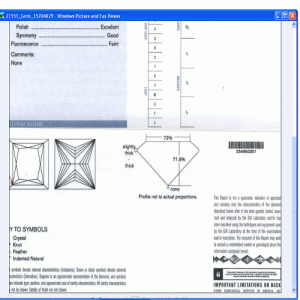 fsi1.gif