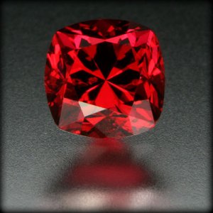 409071.jpg