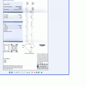 hvs2.gif