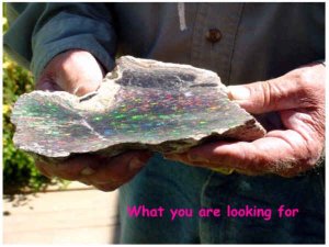 Pick opal 022.jpg