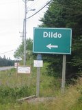 dilpicture.jpg