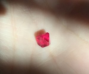 _34944.jpg