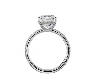 french_under_halo_ring__2_0.png french_under_halo_ring__2_0.png
