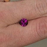 purple_pear.jpg
