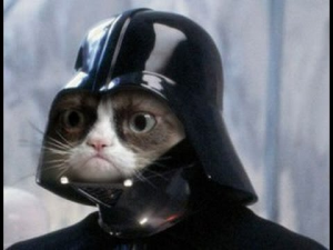 cat_may_the_force_be_with_us.png