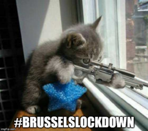 belgian_cats_join_police_raids.png