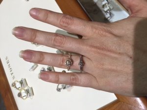 img_9921.jpg img_9921.jpg