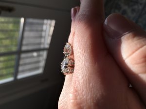 img_10142.jpg