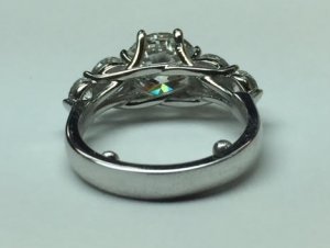 ring_photo_final.jpg ring_photo_final.jpg