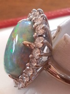 profileofcartieropal.jpg