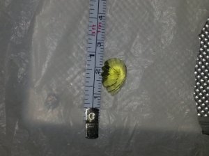 20151227_113112.jpg