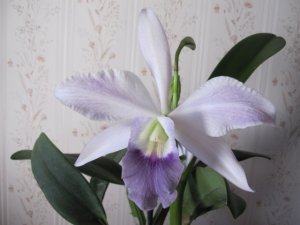 img_10310.jpg