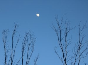 img_10832.jpg