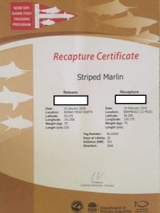 recap_card.jpg