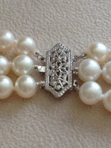 close_up_clasp_2.jpg