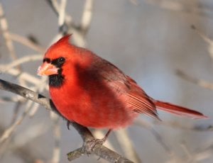 img_10915.jpg