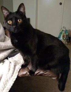 penny.jpg