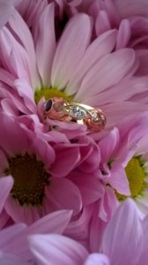 wp_20160304_14_08_47_pro.jpg