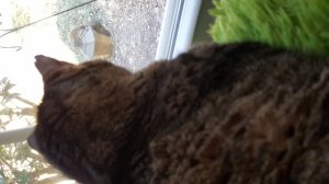 20160229_094627.jpg