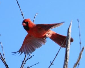img_11009.jpg