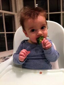 baby_broccoli.jpg