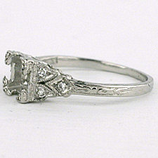 platinum ring2.jpg