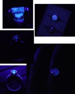Fluoresence collage copyb.jpg