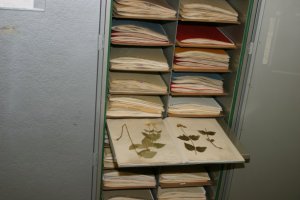 Img_4956tiny.jpg