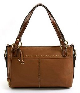 fossilbag.jpg