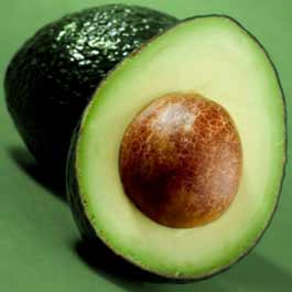 avocado.jpg