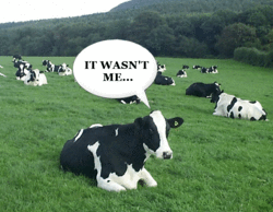fart_cow_1.gif