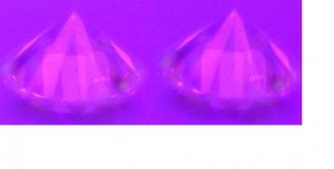OrangeFluorescence.JPG