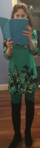 stpattysdaybutterflydress2015.jpeg