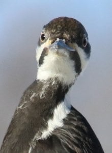 img_11029.jpg