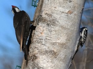 img_11031.jpg