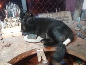 beatrizcat.jpg