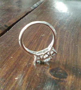 ring_shot_2.jpg ring_shot_2.jpg