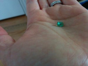 img_20160322_080307.jpg