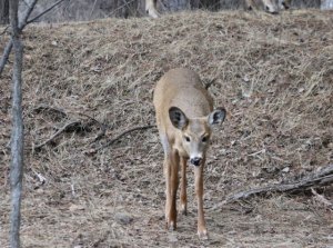 img_11272.jpg