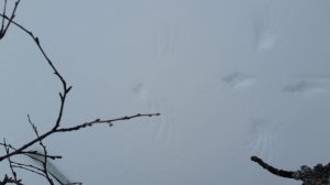 snow.jpg snow.jpg