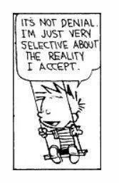 calvinandhobbesondenial.jpg