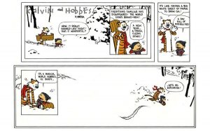 lastcalvinandhobbes.jpg